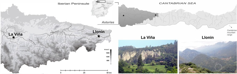 New article in Journal of Archaeological Science Reports