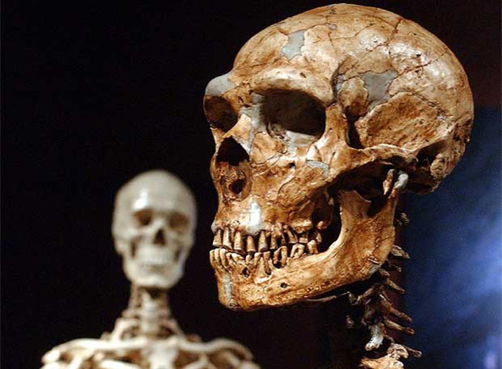 Do we have Neanderthal genes? How do we know?
