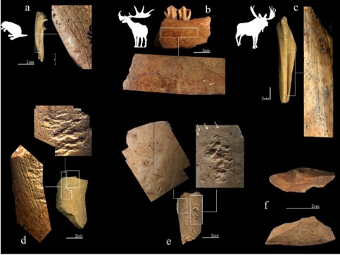 New open-access paper about the paleodiet of late Neanderthals living at San Bernardino Cave in Italy