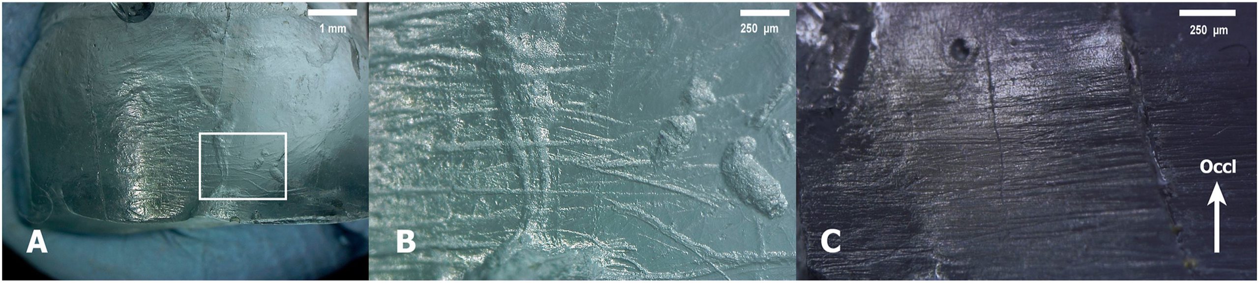 Habitual activities of Paleolithic kids from the Cantabrian region
