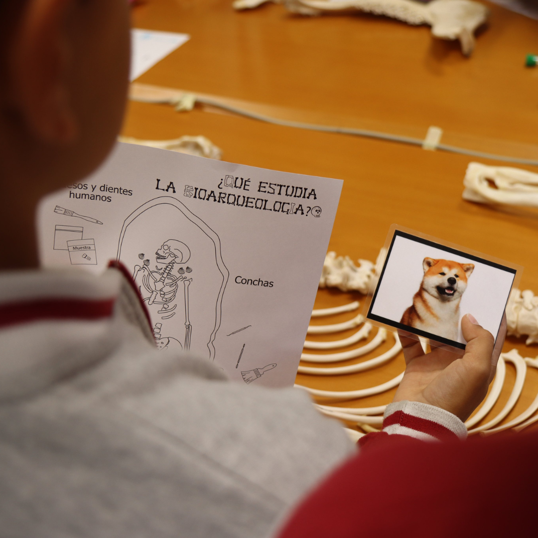 Bringing science to young minds!